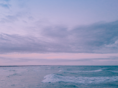 ■ 代理散骨プラン