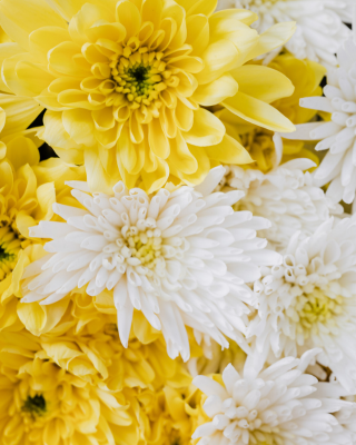 |プランの種類が豊富